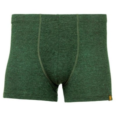 Трусы Turbat Retezat Boxer Mns kombu green - фото 28878