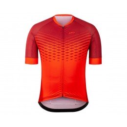 Велофутболка чоловіча Garneau District Jersey