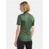 Велофутболка жіноча Craft Core Essence Jersey Regular Fit W thyme