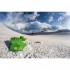Палатка Turbat Shanta 2 зеленый