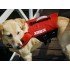 Спасжилет для животных Jobe Pet Vest
