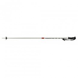 Палиці гірськолижні Blizzard Rental Ski Poles