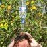 Насадка для душу Lifeventure Travel Bottle Shower Насадка для душу Lifeventure Travel Bottle Shower