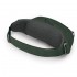 Поясная сумка Osprey Daylite Waist green belt/green canopy