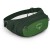 Поясная сумка Osprey Daylite Waist green belt/green canopy