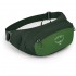Поясная сумка Osprey Daylite Waist green belt/green canopy