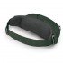 Поясная сумка Osprey Daylite Waist green belt/green canopy Поясная сумка Osprey Daylite Waist green belt/green canopy