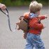 Рюкзак LittleLife Animal Toddler Dinosaur Рюкзак LittleLife Animal Toddler Dinosaur