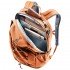 Рюкзак Deuter Gogo 25 л chestnut-umbra