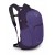 Рюкзак Osprey Daylite Plus 20 dream purple