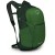 Рюкзак Osprey Daylite Plus 20 green belt/green canopy