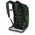 Рюкзак Osprey Daylite Plus 20 green belt/green canopy