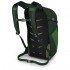 Рюкзак Osprey Daylite Plus 20 green belt/green canopy Рюкзак Osprey Daylite Plus 20 green belt/green canopy