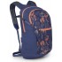 Рюкзак Osprey Daylite Plus 20 wild blossom print/alkaline