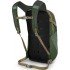 Рюкзак Osprey Daylite 13L tortuga/dustmoss green