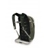 Рюкзак Osprey Daylite Plus 20 green canopy/green creek