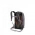 Рюкзак Osprey Sportlite 20 graphite purple