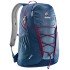 Рюкзак Deuter Gogo