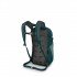 Рюкзак Osprey Daylite 13L nieve green Рюкзак Osprey Daylite 13L nieve green