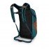Рюкзак Osprey Daylite 13L umber orange/verdigris green Рюкзак Osprey Daylite 13L umber orange/verdigris green