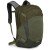 Рюкзак Osprey Nebula 32L moss green/earl grey heather