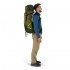 Рюкзак Osprey Atmos AG LT 50 scenic valley/green peppercorn