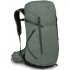 Рюкзак Osprey Sportlite 30 pine leaf green