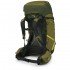 Рюкзак Osprey Atmos AG LT 65/68L Scenic Valley/Green Peppercorn Рюкзак Osprey Atmos AG LT 65/68L Scenic Valley/Green Peppercorn