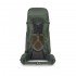Рюкзак Osprey Kestrel 58  bonsai green