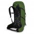 Рюкзак Osprey Talon 36 green belt/black Рюкзак Osprey Talon 36 green belt/black