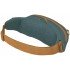 Поясна сумка Osprey Daylite Waist torrent blue