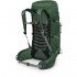 Рюкзак Osprey Talon 33 green canopy/pine leaf