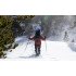 Сноуборд Jones Mountain Surfer FW 19-20 Сноуборд Jones Mountain Surfer FW 19-20