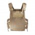 Разгрузочный жилет Tasmanian Tiger Plate Carrier QR SK
