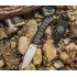 Нож SOG Ace ACE1001-CP