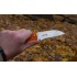 Нож складной Ganzo G723-OR
