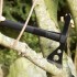 Сокира SOG Tactical Tomahawk Black