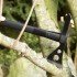 Сокира SOG Tactical Tomahawk Black