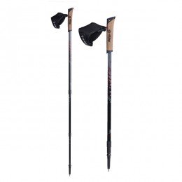 Палки для скандинавской ходьбы Viking Kube Nordic Walking
