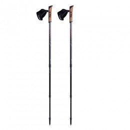 Палки для скандинавской ходьбы Viking Nordic Walking Pole Kube