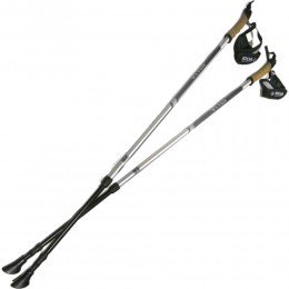 Палки для скандинавской ходьбы Silva EX-Pole Alu Adjustable, Gre