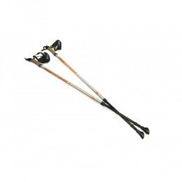 Палки для скандинавской ходьбы Silva EX-Pole Alu Adjustable, Orange