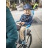 Детское велокресло Hamax Amaze