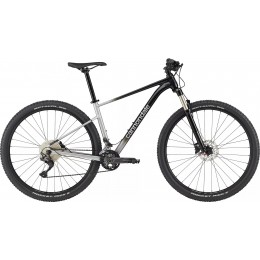 Велосипед Cannondale 29" Trail SL 4, 2024 GRY