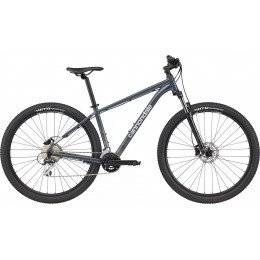 Велосипед 29" Cannondale Trail 6 2023 SLT