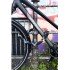 Замок ABUS 6210/75 IvyTex