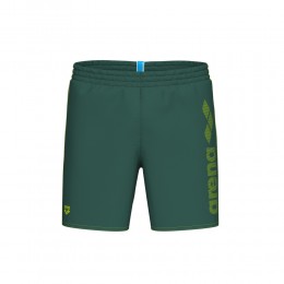 Мужские шорты Arena Logotype Beach Boxer