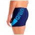 Плавки Arena Stripeflow Swim Short 010954-780 Плавки Arena Stripeflow Swim Short 010954-780