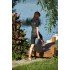 Страховочный жилет Jobe Impress 3D Comp Vest Ladies