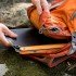 Солнечная панель BioLite SolarPanel 10+ Updated Солнечная панель BioLite SolarPanel 10+ Updated